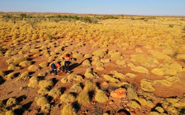 Multiple soil anomalies identified by Kalamazoo Resources at Marble Bar lithium project