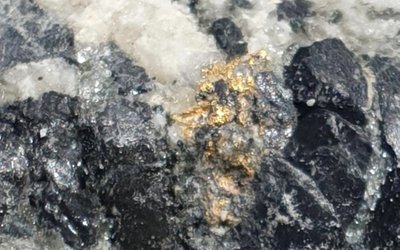 Navarre Minerals and Catalyst Metals hit high-grades and visible gold at Tandarra