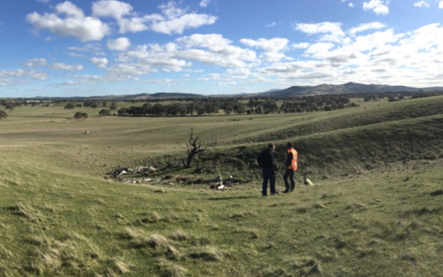 Navarre Minerals and Catalyst Metals unearth bonanza gold at Tandarra