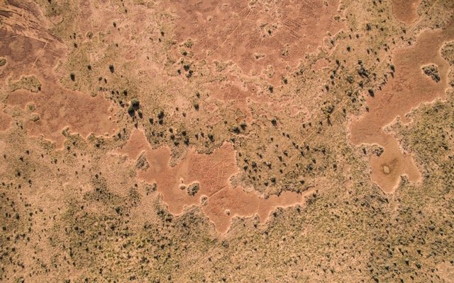 Nearby REE finds show promise for Venus Metals at Mangaroon North