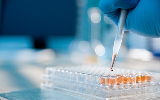 Neuren’s NNZ-2591 drug candidate alleviates Pitt Hopkins and Angelman syndrome symptoms