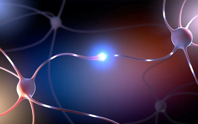 NeuroScientific’s EmtinB drug achieves positive results in pre-clinical MS research