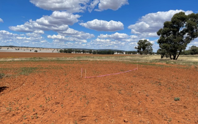 New study shows positive development scenario for Thomson Resources’ ‘hub and spoke’ strategy