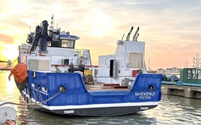 New Zealand King Salmon Reports $20.8m Loss as Reduced Harvest Disrupts Supply