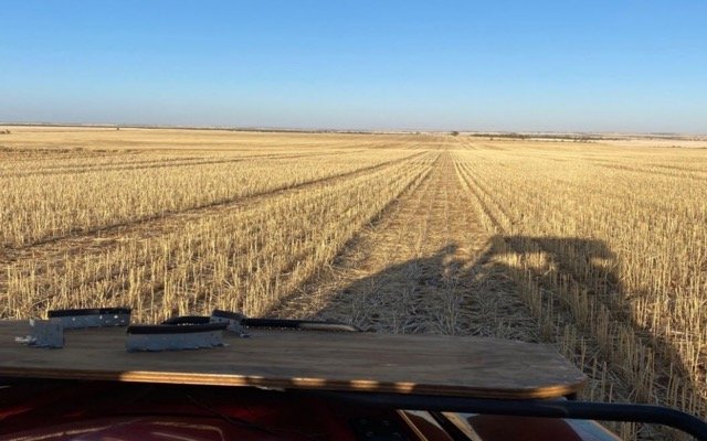 NickelX completes infill auger drilling at high-priority Dalwallinu targets