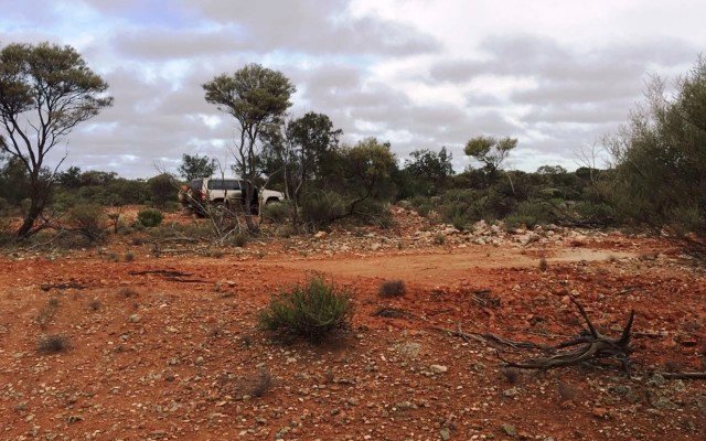 NickelX moves to acquire highly prospective but poorly explored WA nickel property