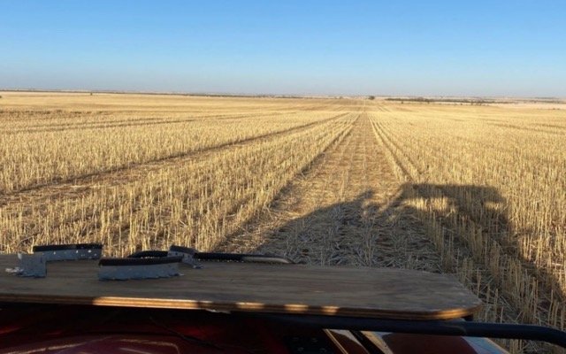 NickelX picks-up Dalwallinu nickel-copper-PGE project in WA’s West Yilgarn