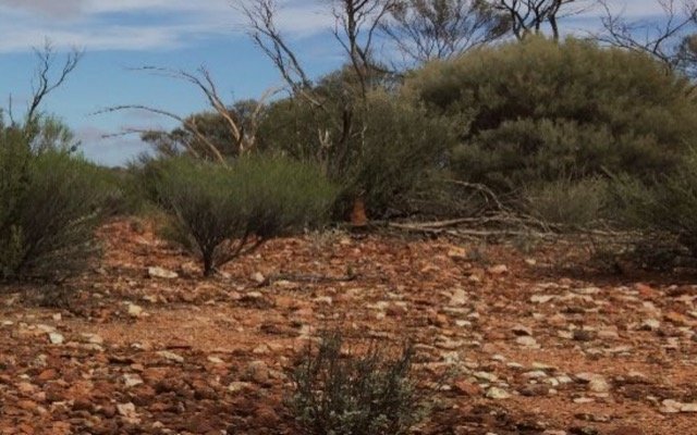 NickelX targets maiden drilling program for Cosmos South before the end of September