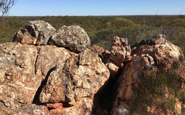 Nimy Resources begins exploring for REE after discovering carbonatite anomaly at Mons