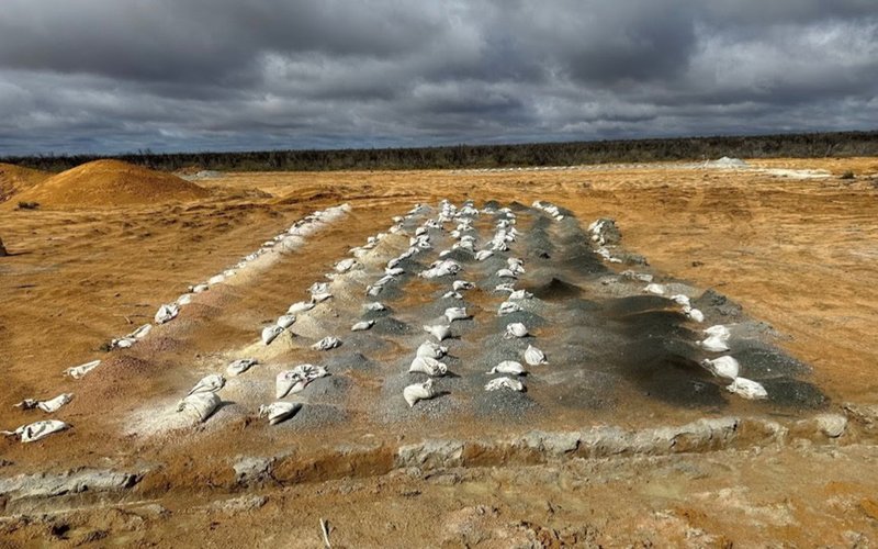 Nimy Resources hits deeper mineralisation at Masson, extends sulphide discovery