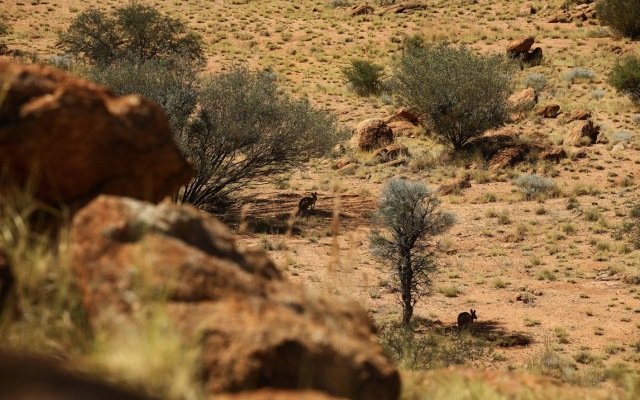 Northern Cobalt dominates NT for cobalt exploration with grant of latest tenements