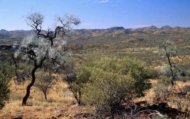 Northern Cobalt edges into lithium space with tenement acquisitions