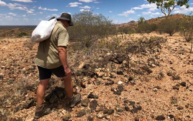 Northern Cobalt identifies new IP anomaly at Gregjo copper target