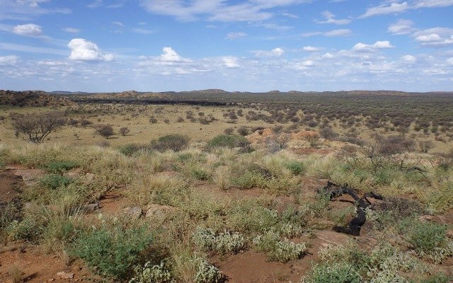 Northern Cobalt completes lithium tenement acquisitions, exploration kicks-off next week