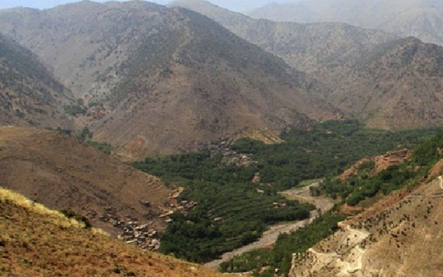 Nova Minerals advances Estelle with environmental studies underway, adds Colin Belshaw to its board