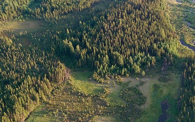 Nova Minerals embarks on preliminary economic assessment of Thompson Brothers lithium project