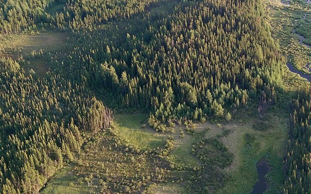 Nova Minerals embarks on preliminary economic assessment of Thompson Brothers lithium project