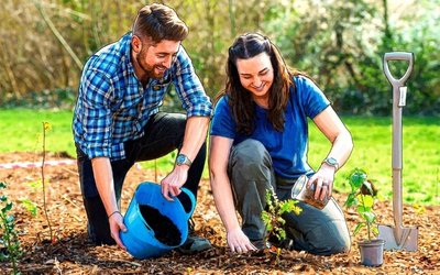 NoviqTech Subsidiary Coralia Signs Large-Scale Carbon Removal Offtake Agreement with Pure Data Centres