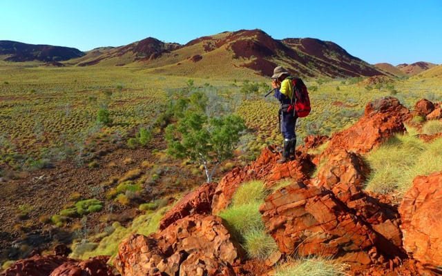 Novo Resources identifies hot Pilbara gold opportunity