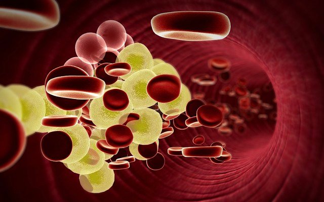 Nyrada reveals encouraging cholesterol-lowering drug study results