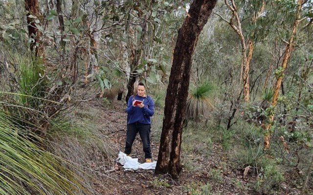 Oar Resources advances exploration and drilling plans across portfolio