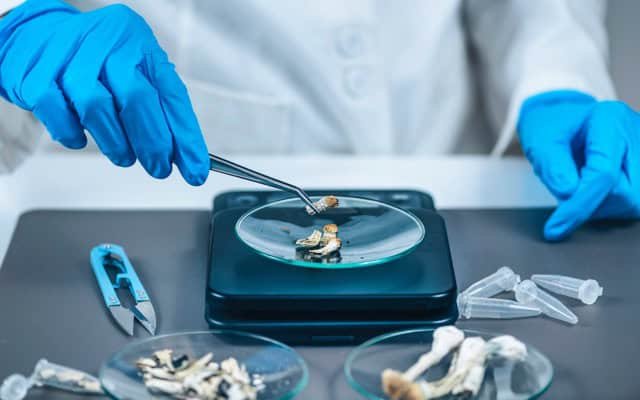 Optimi Health launches Blue Serenity, Canada’s first natural therapeutic psilocybin product