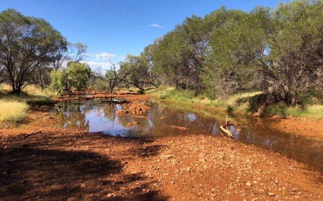 Ora Gold discovers high-grade copper and silver at Government Well