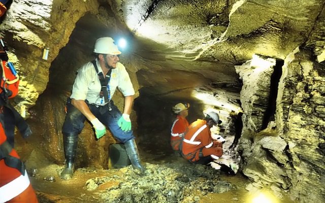 Orinoco’s gold run continues at Cascavel with Cuca assaying up to 300g/t