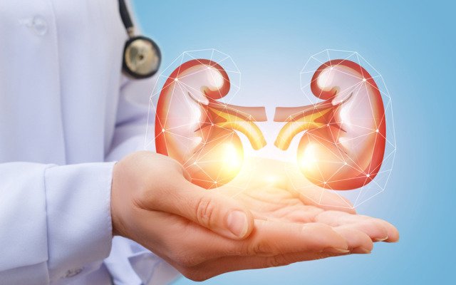 Osprey Medical reports decline in kidney injury using DyeVert Plus, posts strong sales growth in June quarter