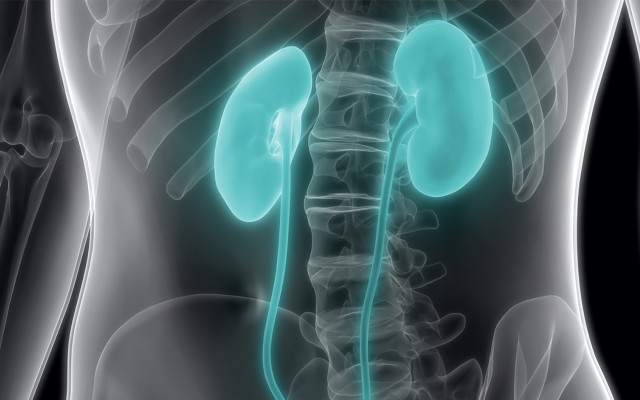 Osprey Medical wins prestigious supplier award, secures more distribution deals for medical imaging technology