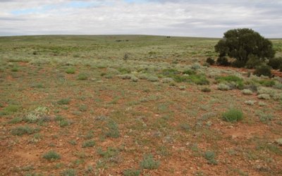 OZ Minerals and Red Metal team up in hunt for greenfield discoveries