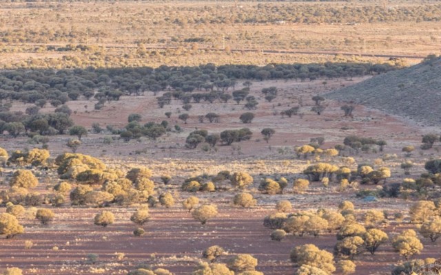 OZZ Resources acquires ‘highly prospective’ Leonora project in tier one gold district