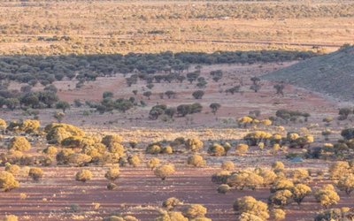 OZZ Resources acquires ‘highly prospective’ Leonora project in tier one gold district