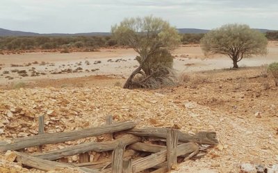 OZZ Resources identifies gold and copper anomalies at historic Rabbit Bore project