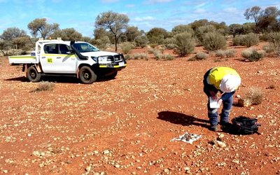 Panther Metals launches follow-up drilling at Burtville East after high-grade gold hits