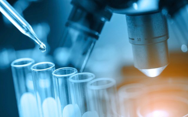 Paradigm Biopharma receives FDA clearance for investigational new osteoarthritis drug