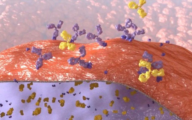 Patrys granted Australian patent for Deoxymab platform with nanoparticles to deliver anti-cancer drugs