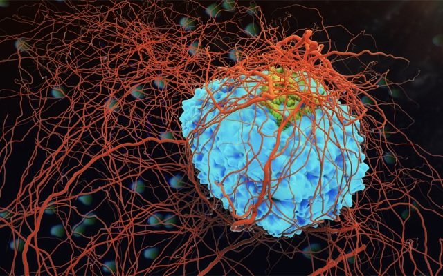 Patrys cancer drug targets primary and distant tumours in preclinical studies