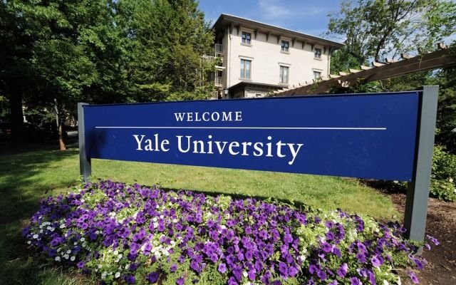 Patrys winning greater recognition as pilot study leads to collaboration with Yale University
