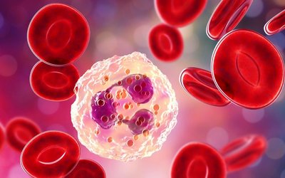 Patrys releases positive data from deoxymabs study to treat ANCA vasculitis