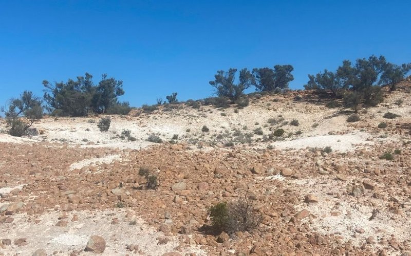 Petratherm reports high-value titanium discovery at Muckanippie project in South Australia