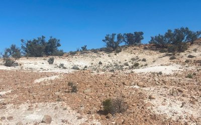 Petratherm reports high-value titanium discovery at Muckanippie project in South Australia