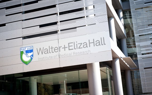 PharmAust collaborates with Walter and Eliza Hall Institute to test antiviral potential of MPL in HTLV-1