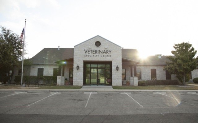 PharmAust expands phase 2 canine B cell lymphoma MPL trial to US