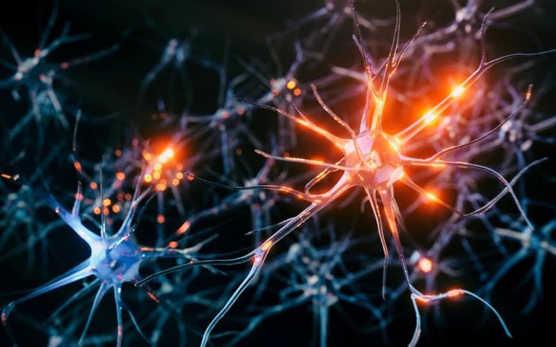 PharmAust’s interim Phase 1 data suggests MPL may inhibit motor neurone disease