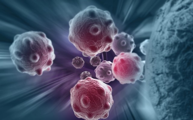 PharmAust lays out market strategy for lead drug monepantel