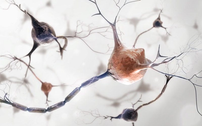 PharmAust gears for major clinical milestones in 2024, following strong start and FDA feedback