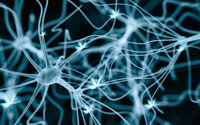 PharmAust moves closer to trials of monepantel in patients with motor neurone disease