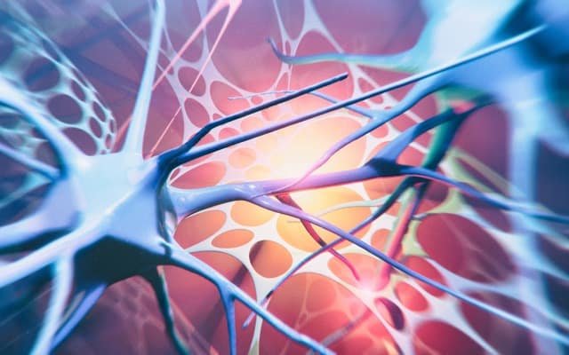 PharmAust schließt erste Patientenkohorte und Initialdosierung für MPL-Studie bei Patienten mit MND ab