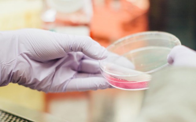 PharmAust posts strong September quarter led by advances in development of lead drug monepantel